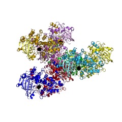 Example Structure of phenacrylate decarboxylase EC#: 4.1.1.102