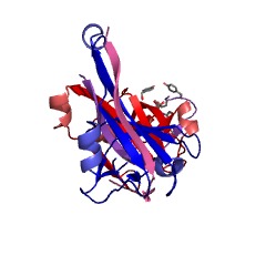 Example Structure of aspartate 1-decarboxylase EC#: 4.1.1.11