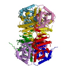 Example Structure of lysine decarboxylase EC#: 4.1.1.18