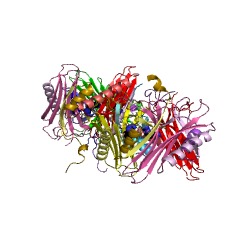Example Structure of arginine decarboxylase EC#: 4.1.1.19