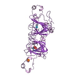 Example Structure of oxalate decarboxylase EC#: 4.1.1.2