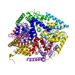 Example Structure of phosphoribosylaminoimidazole carboxylase EC#: 4.1.1.21