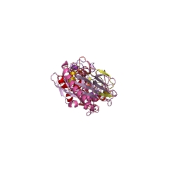 Example Structure of histidine decarboxylase EC#: 4.1.1.22