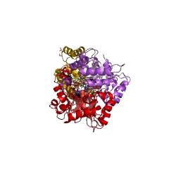 Example Structure of orotidine-5'-phosphate decarboxylase EC#: 4.1.1.23