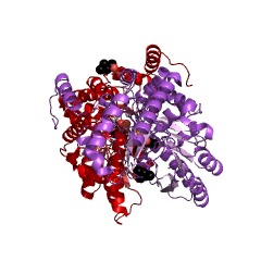 Example Structure of tyrosine decarboxylase EC#: 4.1.1.25