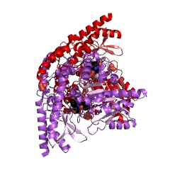 Example Structure of aromatic-L-amino-acid decarboxylase EC#: 4.1.1.28