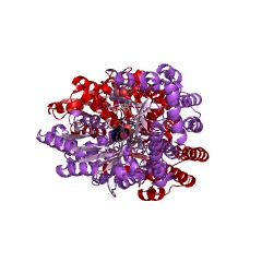 Example Structure of sulfinoalanine decarboxylase EC#: 4.1.1.29