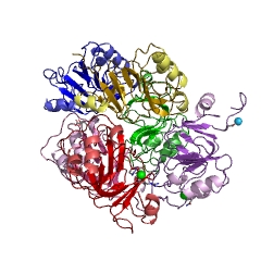 Example Structure of oxaloacetate decarboxylase EC#: 4.1.1.3