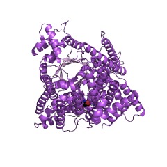Example Structure of phosphoenolpyruvate carboxylase EC#: 4.1.1.31