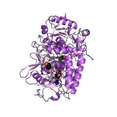Example Structure of phosphoenolpyruvate carboxykinase (GTP) EC#: 4.1.1.32
