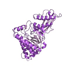Example Structure of diphosphomevalonate decarboxylase EC#: 4.1.1.33