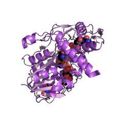 Example Structure of UDP-glucuronate decarboxylase EC#: 4.1.1.35