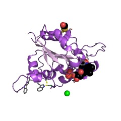 Example Structure of phosphopantothenoylcysteine decarboxylase EC#: 4.1.1.36