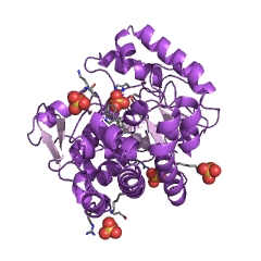 Example Structure of uroporphyrinogen decarboxylase EC#: 4.1.1.37