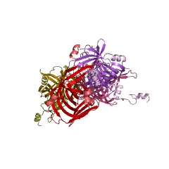 Example Structure of acetoacetate decarboxylase EC#: 4.1.1.4