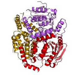 Example Structure of (S)-methylmalonyl-CoA decarboxylase EC#: 4.1.1.41