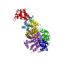 Example Structure of 4-carboxymuconolactone decarboxylase EC#: 4.1.1.44