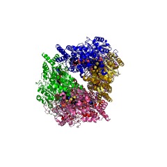 Example Structure of tartronate-semialdehyde synthase EC#: 4.1.1.47