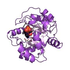 Example Structure of indole-3-glycerol-phosphate synthase EC#: 4.1.1.48