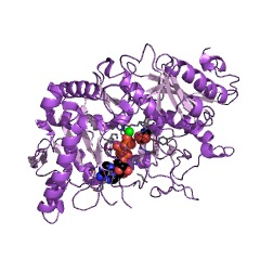 Example Structure of phosphoenolpyruvate carboxykinase (ATP) EC#: 4.1.1.49