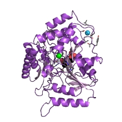 Example Structure of 2,2-dialkylglycine decarboxylase (pyruvate) EC#: 4.1.1.64