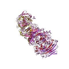 Example Structure of 5-oxopent-3-ene-1,2,5-tricarboxylate decarboxylase EC#: 4.1.1.68