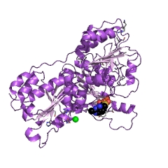 Example Structure of benzoylformate decarboxylase EC#: 4.1.1.7