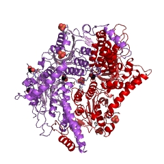Example Structure of glutaconyl-CoA decarboxylase EC#: 4.1.1.70