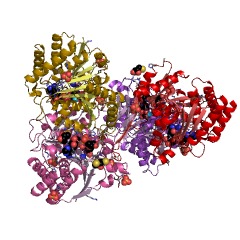 Example Structure of tartrate decarboxylase EC#: 4.1.1.73