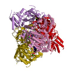 Example Structure of indolepyruvate decarboxylase EC#: 4.1.1.74
