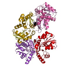 Example Structure of arylmalonate decarboxylase EC#: 4.1.1.76