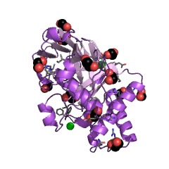 Example Structure of 2-oxo-3-hexenedioate decarboxylase EC#: 4.1.1.77