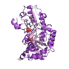Example Structure of threonine-phosphate decarboxylase EC#: 4.1.1.81
