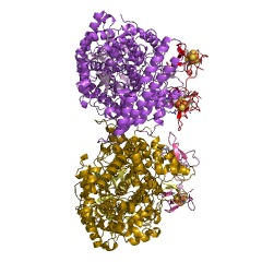 Example Structure of 4-hydroxyphenylacetate decarboxylase EC#: 4.1.1.83