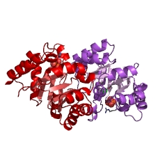 Example Structure of 3-dehydro-L-gulonate-6-phosphate decarboxylase EC#: 4.1.1.85