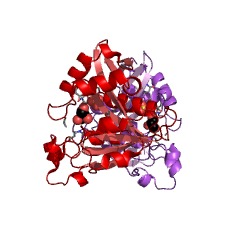 Example Structure of malonyl-CoA decarboxylase EC#: 4.1.1.9