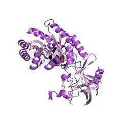 Example Structure of L-glutamyl-[BtrI acyl-carrier protein] decarboxylase EC#: 4.1.1.95