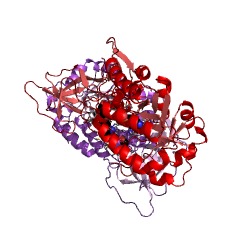 Example Structure of carboxynorspermidine decarboxylase EC#: 4.1.1.96