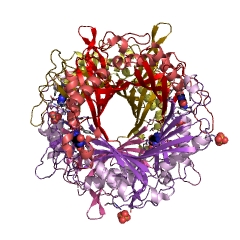 Example Structure of 2-oxo-4-hydroxy-4-carboxy-5-ureidoimidazoline decarboxylase EC#: 4.1.1.97