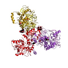 Example Structure of 4-hydroxy-3-polyprenylbenzoate decarboxylase EC#: 4.1.1.98