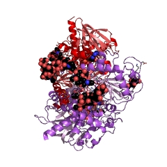 Example Structure of (R)-mandelonitrile lyase EC#: 4.1.2.10