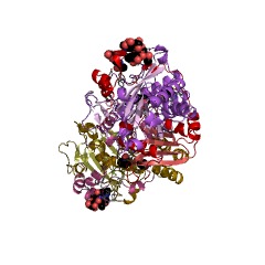 Example Structure of hydroxymandelonitrile lyase EC#: 4.1.2.11