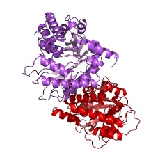 Example Structure of fructose-bisphosphate aldolase EC#: 4.1.2.13