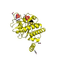 Example Structure of L-fuculose-phosphate aldolase EC#: 4.1.2.17