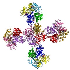 Example Structure of rhamnulose-1-phosphate aldolase EC#: 4.1.2.19
