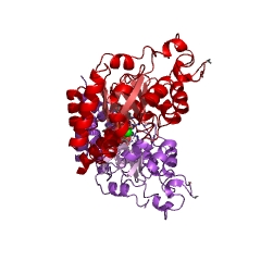Example Structure of 2-dehydro-3-deoxyglucarate aldolase EC#: 4.1.2.20