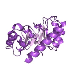 Example Structure of 2-dehydro-3-deoxy-6-phosphogalactonate aldolase EC#: 4.1.2.21