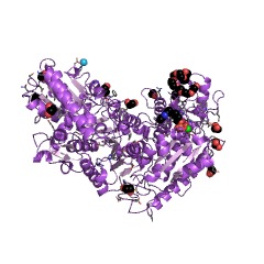 Example Structure of fructose-6-phosphate phosphoketolase EC#: 4.1.2.22