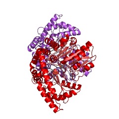 Example Structure of sphinganine-1-phosphate aldolase EC#: 4.1.2.27
