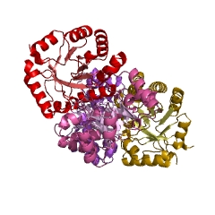 Example Structure of deoxyribose-phosphate aldolase EC#: 4.1.2.4